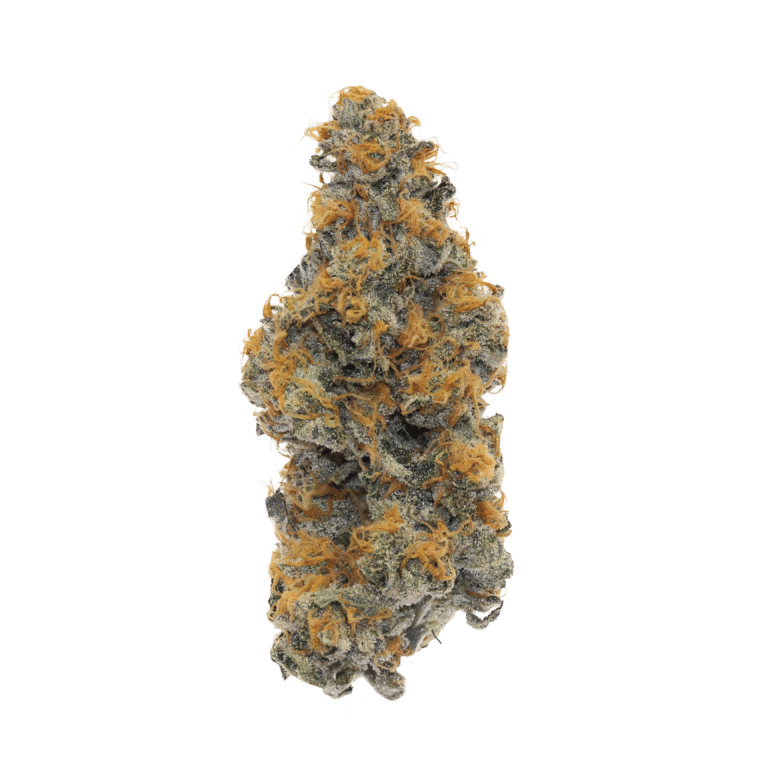 learn more about Bubblegum Marker