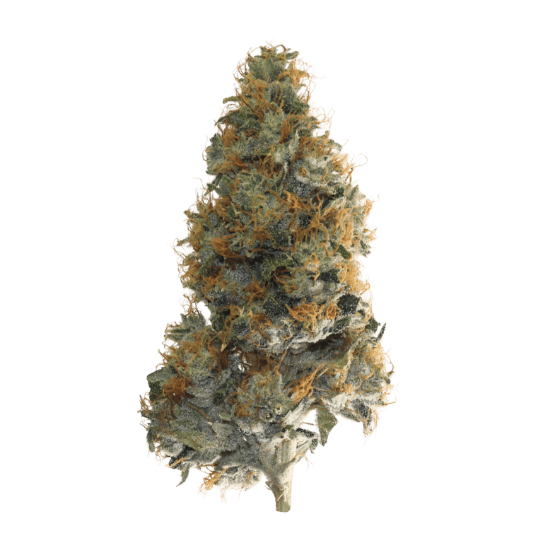 learn more about Godfather OG