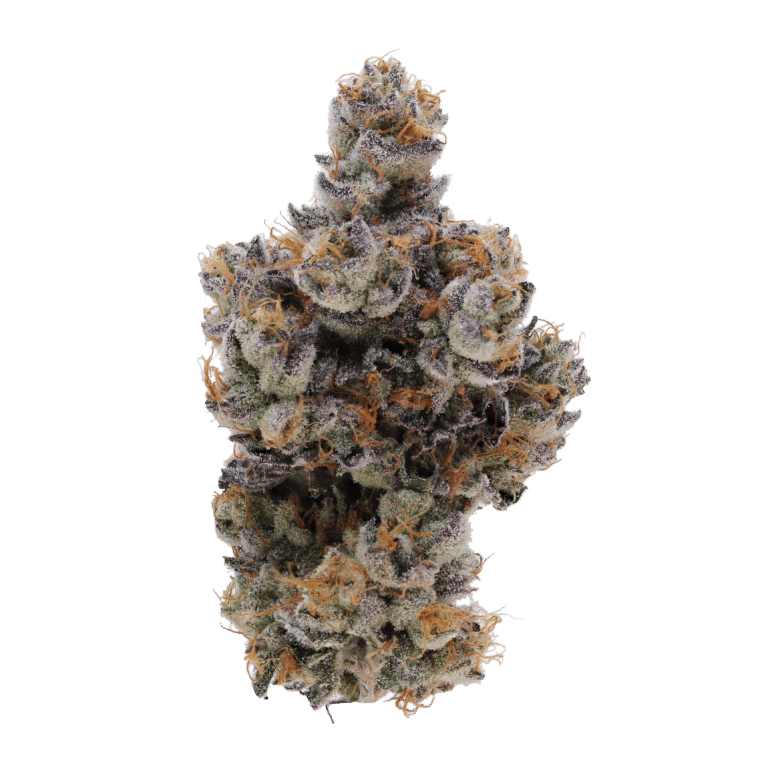 learn more about Grape Gary