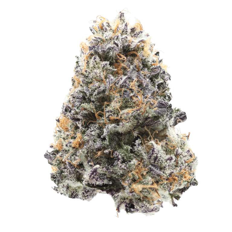 learn more about Honey Tree