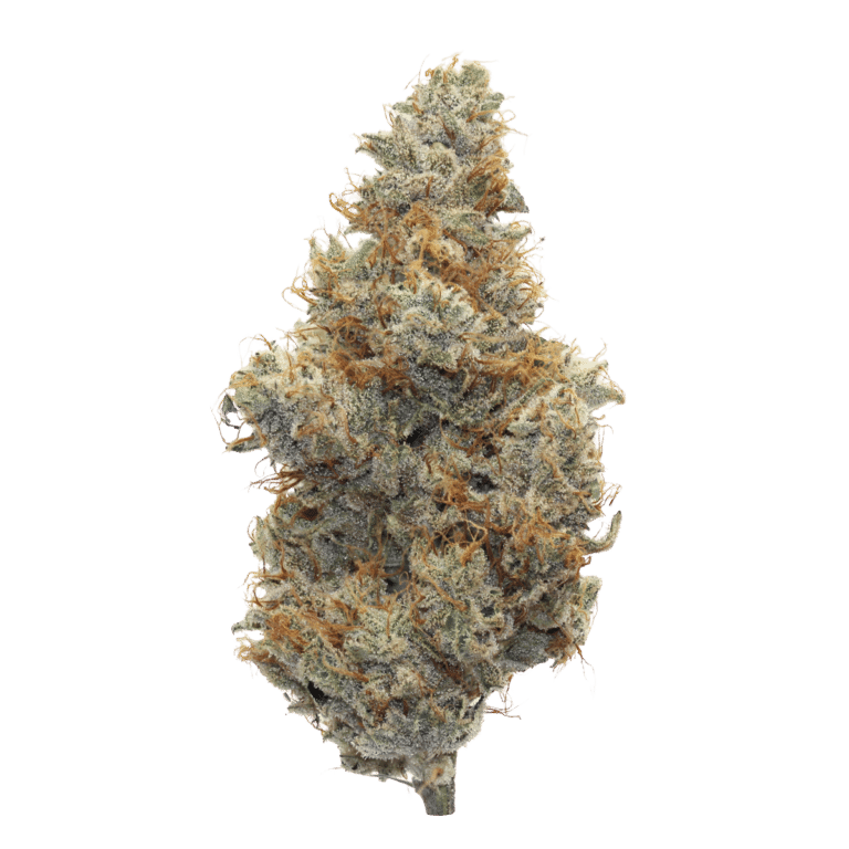 learn more about Lemon Balm