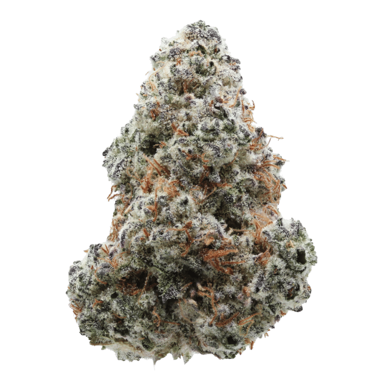 learn more about Mind Melt