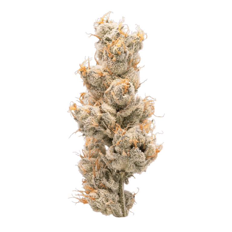 learn more about Strawpical Guava