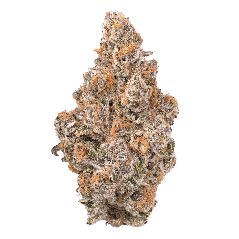 learn more about Super Boof